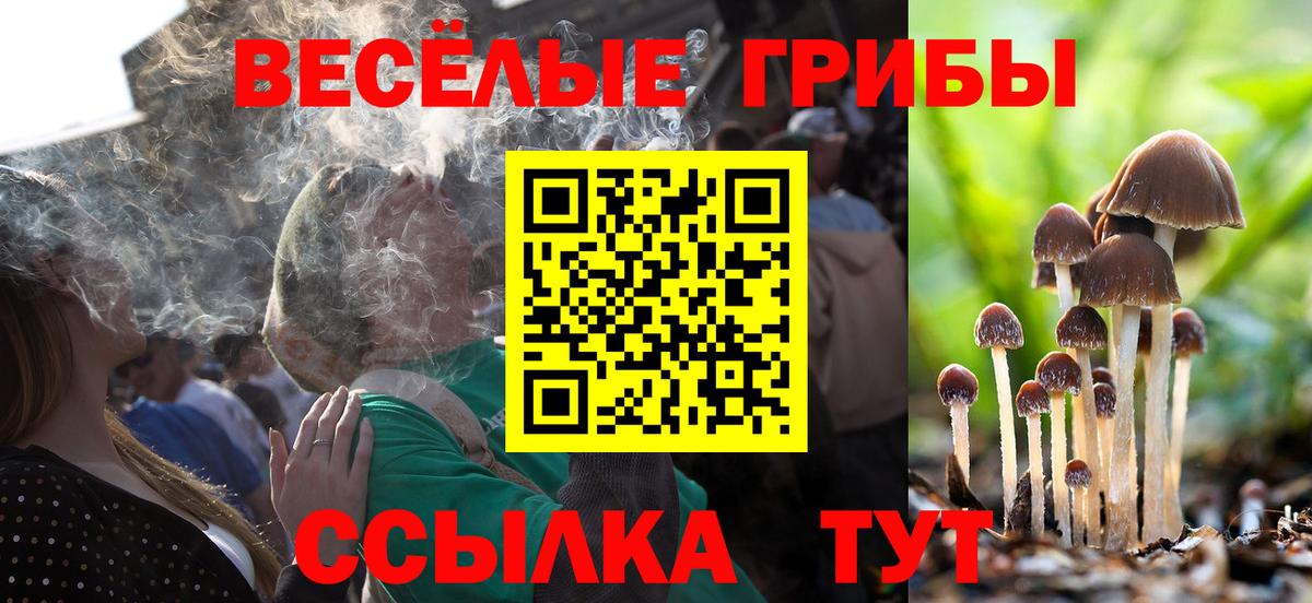 закладка  Псилоцибиновые грибы MAGIC MUSHROOMS  Белая Калитва  Вход с VPN  Псилоцибиновые грибы прущие грибы 